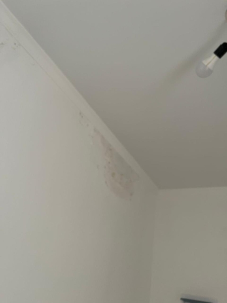 Козырёк рухнул на детей: чем опасны арендные дома в Туркестанской области