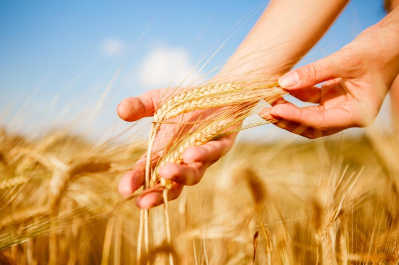 Обзор основных событий 2025 года по версии Kazakhstan Today