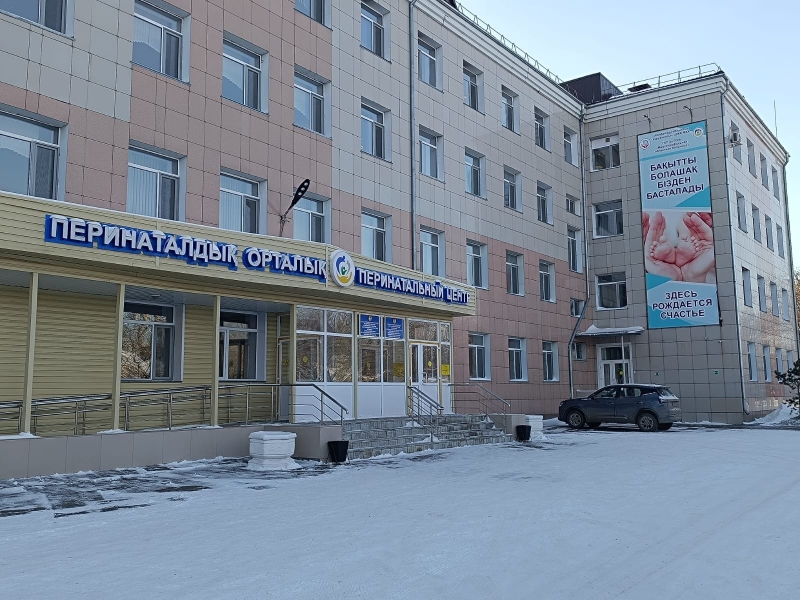 Женщина и ребёнок погибли в Кокшетау. Виновных защищает медицинская система?