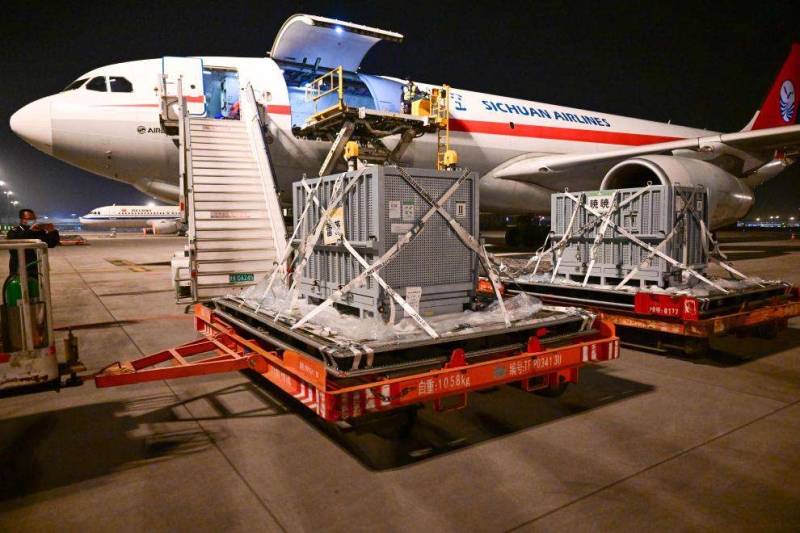 Две большие панды вернулись из Японии в Китай