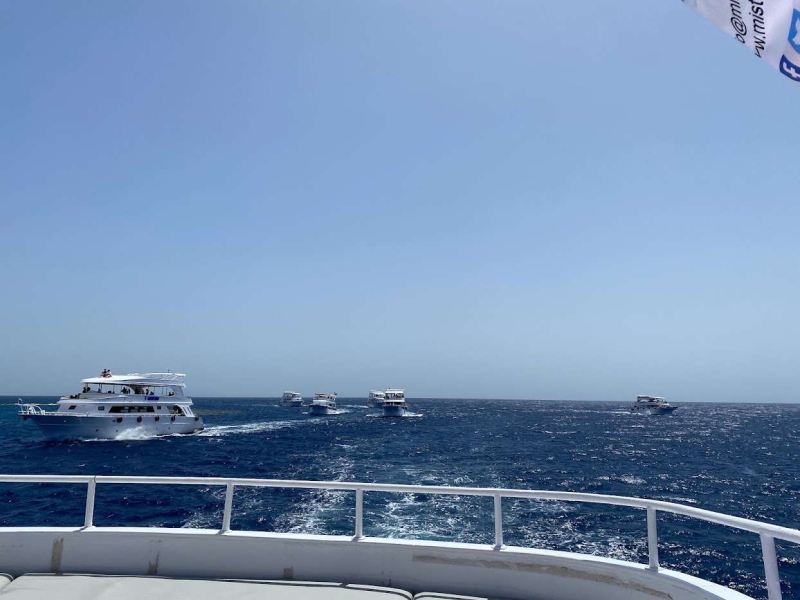 Власти Австралии закрыли пляжи из-за акул